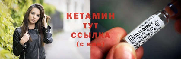 эйфоретик Пересвет