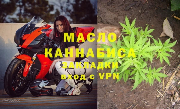эйфоретик Пересвет