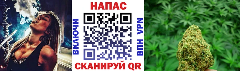 магазин продажи   Аргун  Марихуана сатива 
